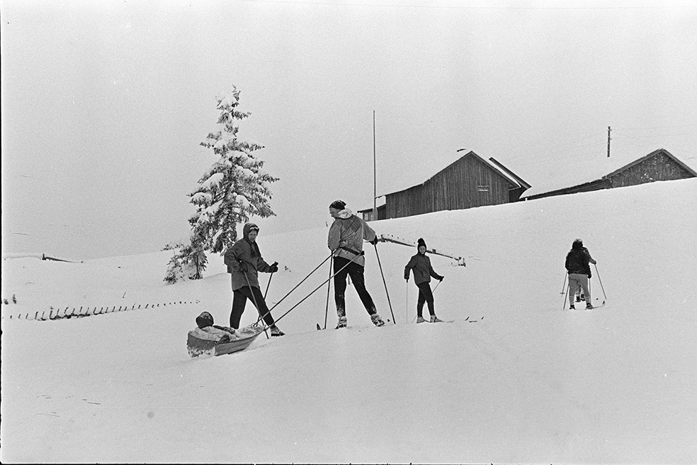 Sjusjøen,vinter, ski, fritid, vinterturisme, skitur, pulk,