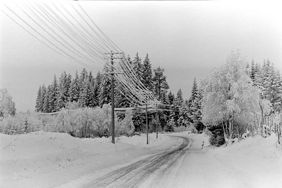Vinter veg,snø,rim, telefonstolper,ukjent sted, Furnes(?)