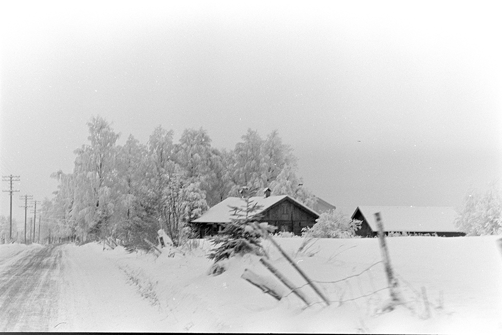 Vinter veg,snø,rim, ukjent gard, Furnes(?)