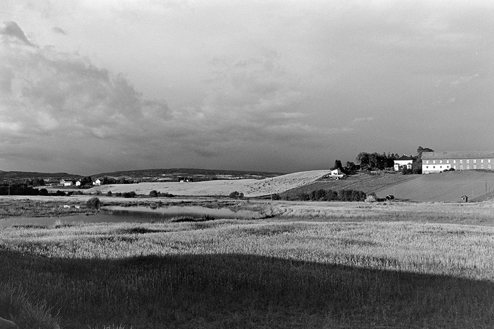 Landskap, Åkersvika,våtmark,Flagstadelva, Vang H.
