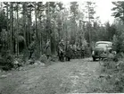 Fälttjänstgöring (vid en skogsväg). Villingsberg, Närke.