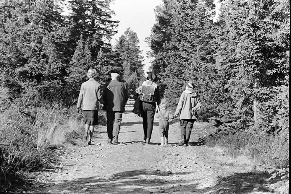 Skogstur,søndagstur,fottur, tur til Lageråkvisla i Vangsåsen.