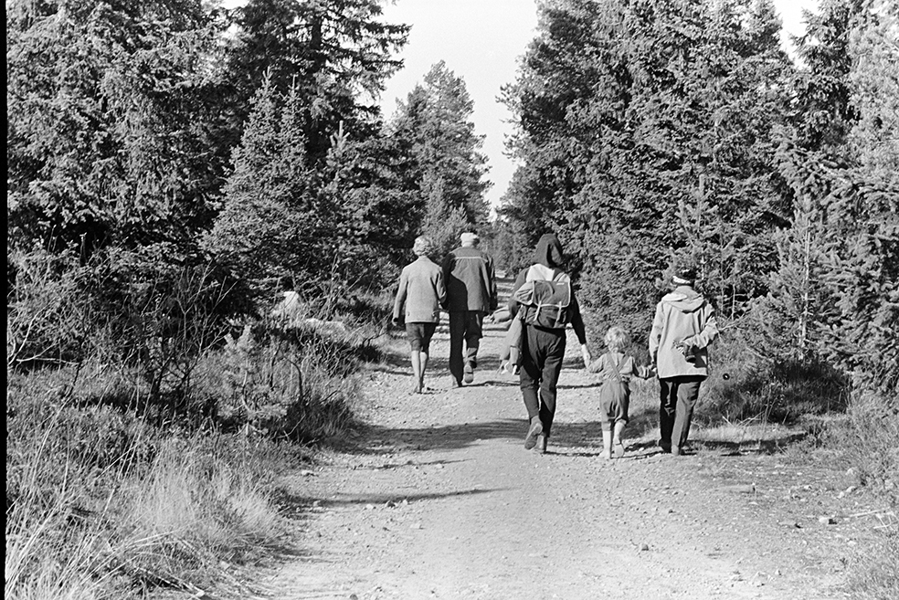 Skogstur,søndagstur,fottur, tur til Lageråkvisla i Vangsåsen.
