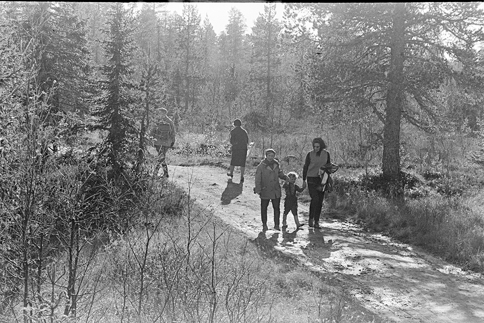 Skogstur,søndagstur,fottur, tur til Lageråkvisla i Vangsåsen.