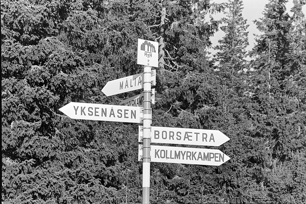 Skogstur,søndagstur,fottur, tur til Lageråkvisla i Vangsåsen. Stiskilt.