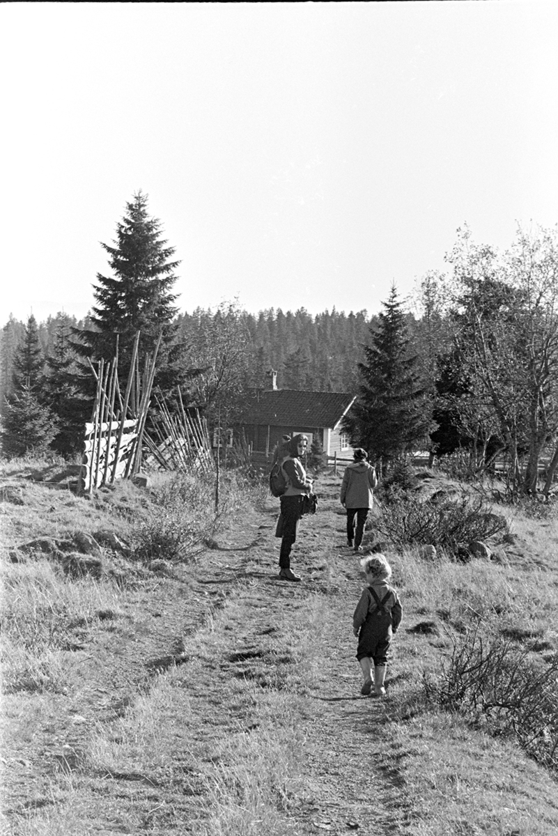 Skogstur,søndagstur,fottur, tur til Lageråkvisla i Vangsåsen.