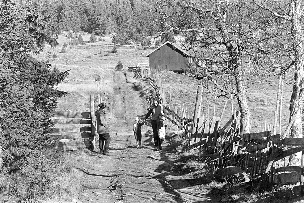 Skogstur,søndagstur,fottur, tur til Lageråkvisla i Vangsåsen. Skigard.