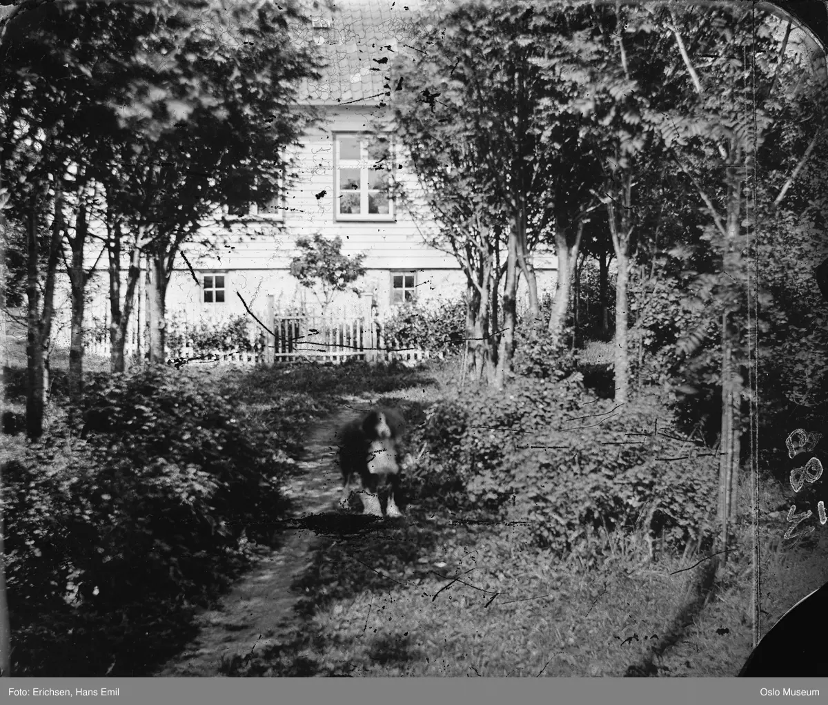 Øvre Schultzehaugen