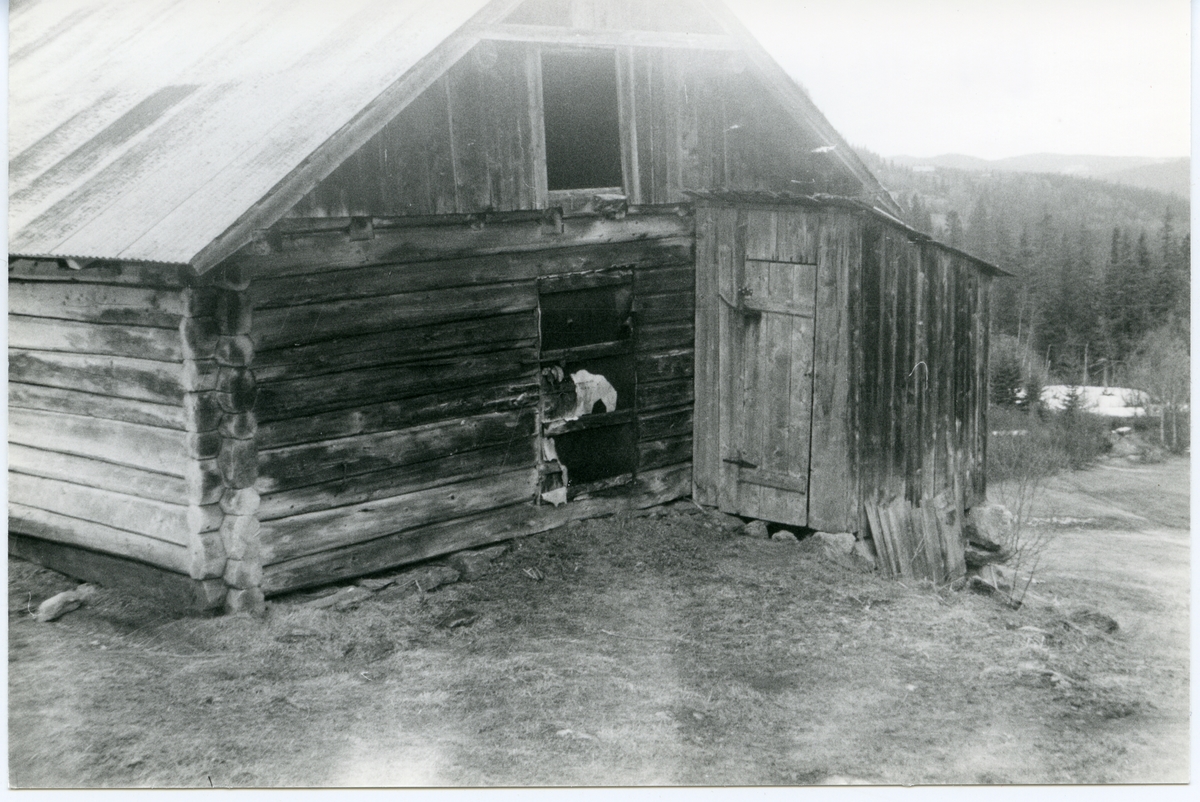 Uthuset på Milevatnet, Leirskogen, Sør,Aurdal.