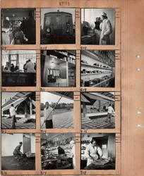 Motiv: Interiör av livsmedelsbutik bl a köttdisken med våg, 