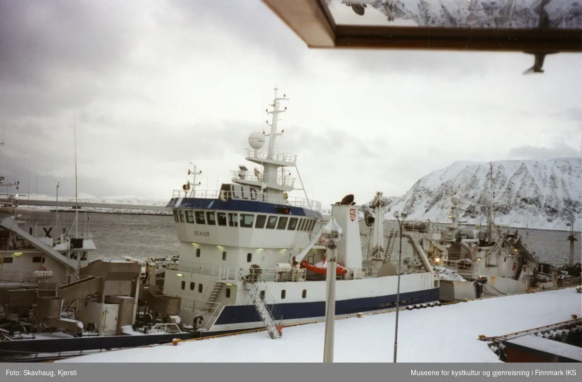 Loddesesong i Honningsvåg. Mars 2003.