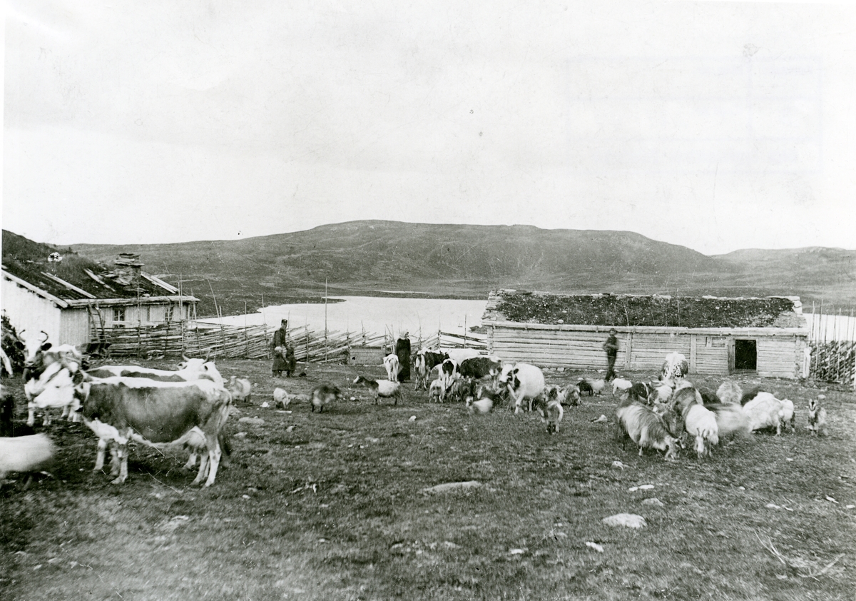 Skaret, Stavadalen, 1890-åra.