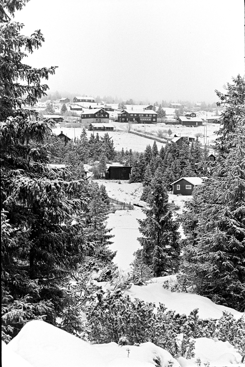 Sjusjøen, vinter.
