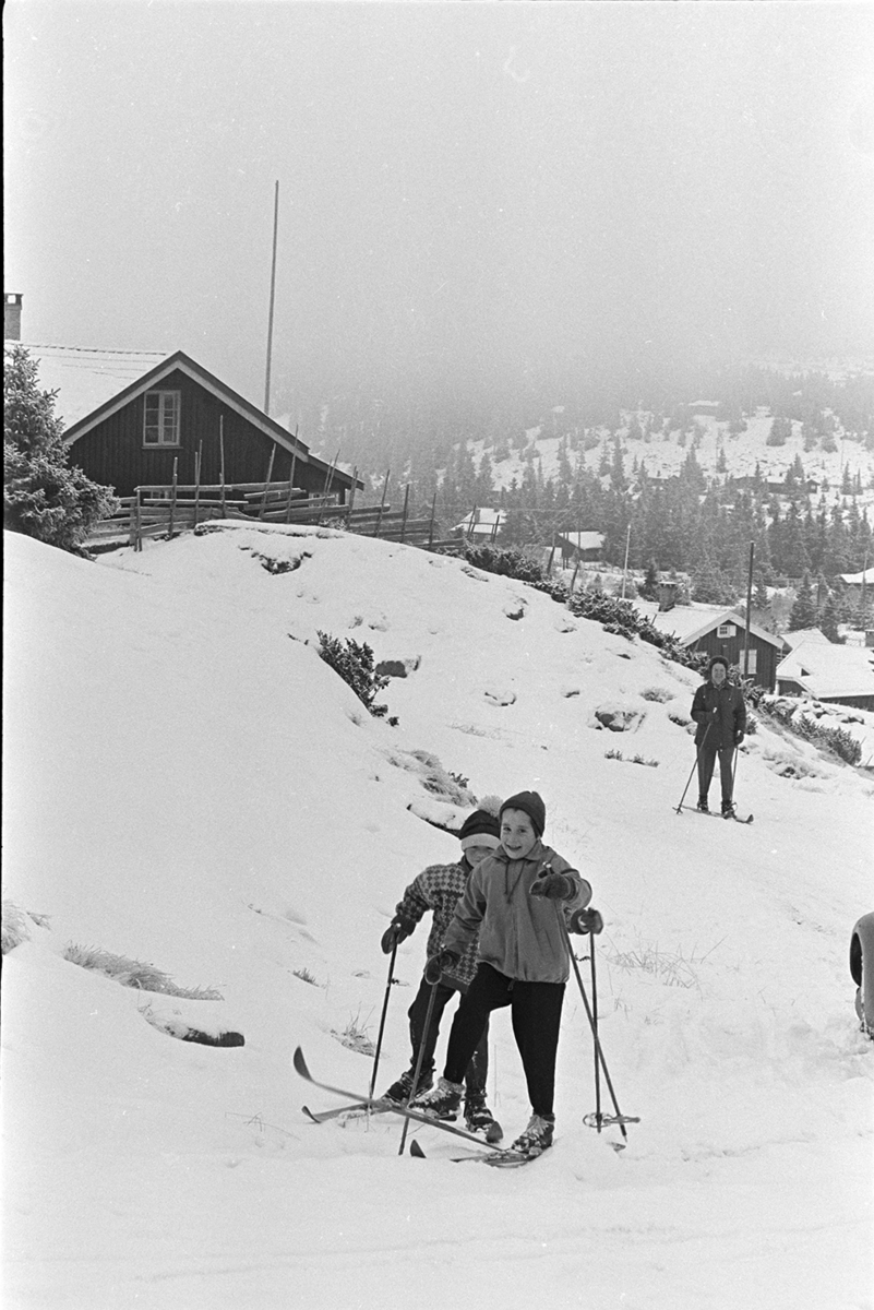 Sjusjøen, vinter, barn på ski.