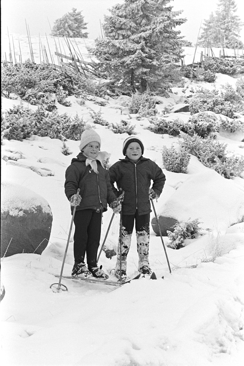 Sjusjøen, vinter. Barn på ski,