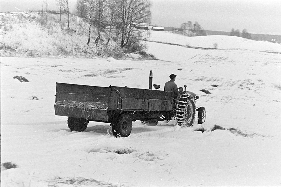 Innkjøring av halm,traktor,jordbruk,ukjent sted.