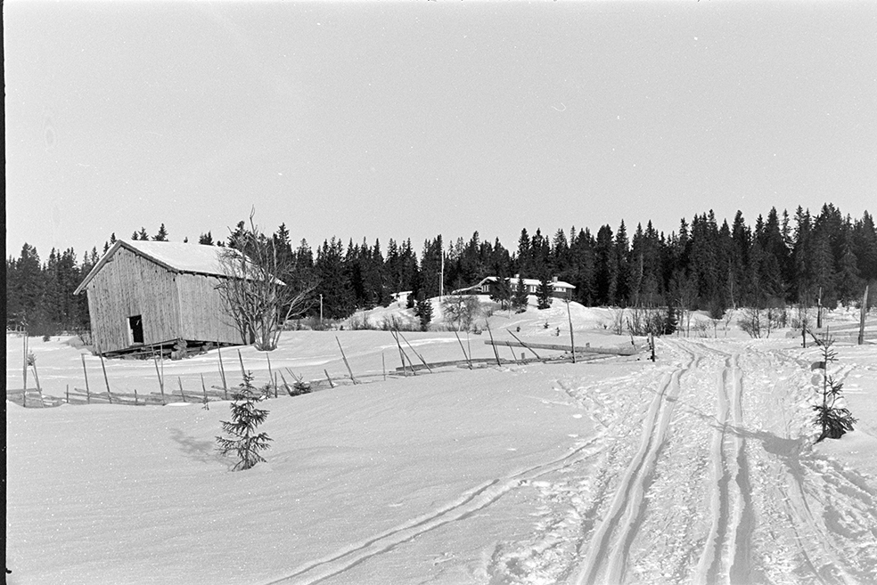 Lageråkvisla, Vangsåsen, vinter, skiløype.