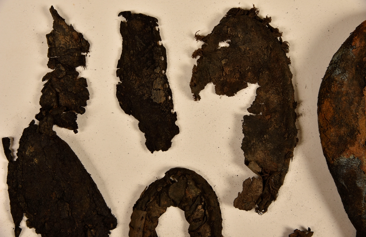 Dokumentation 1996:
Delar och fragment av sko: en skobotten samt ett fragmentariskt ovanläder, tre bitar av ett filtliknande material, ett 15-tal fragment av bottenläder samt sex mindre fragment av trä.
Skobottnen har kvarsittande tråd och träpligg. Yttersulan är ritsad. Klacken består av fem klacklappar som är placerade mellan ytter- och innersulan. Innersulans läder är mycket kraftigt, ca 6 mm tjock. Ovanlädret är sprött och fragmentariskt samt har blå och rostfärgade utfällningar.

Text in English: 
Various parts and fragments of a shoe, consisting of a sole with fragments of vamp (upper leather), three pieces of a felt-like material, some 15 fragments of sole or bottom leather and six smaller fragments of wood.
There are remains of thread and wooden pegs on the shoe sole. The outsole is channeled. The heel is made up of five heel lifts placed between the insole and outsole. The leather of the insole is very thick, ca 6 mm. The upper leather is fragile and fragmentary, and has blue and rust-coloured precipitations.

Dokumentation 2022:
Skobotten och delar av ovanläder till en öppen randsko. Tillverkade i getskinn av god kvalitet. Skapades på en rak läst och bars på höger fot. Klacken som är lagad med en läderlapp under sulan. Inga dekorationer. Det finns tecken på delaminering. Fragment från en stickad strumpa hittades inuti skon. Det finns lagningar med träpligg på sulan och hälen. Skobotten hör ihop med fyndnummer 23070.
För mer information, se Länkade filer: Uppritning

Text in english:
This is the bottom unit and upper fragments of an open shoe, made of goatskin leather of good quality, of randed construction with a patch heel, made on a straight last and worn on the right foot, with no decorative features. The bottom unit pairs with 23070. There are signs of delamination and fragments of a knitted stocking were found inside the shoe. There are pegged repairs to sole and heel.
For more information, go to Länkade filer: Uppritning