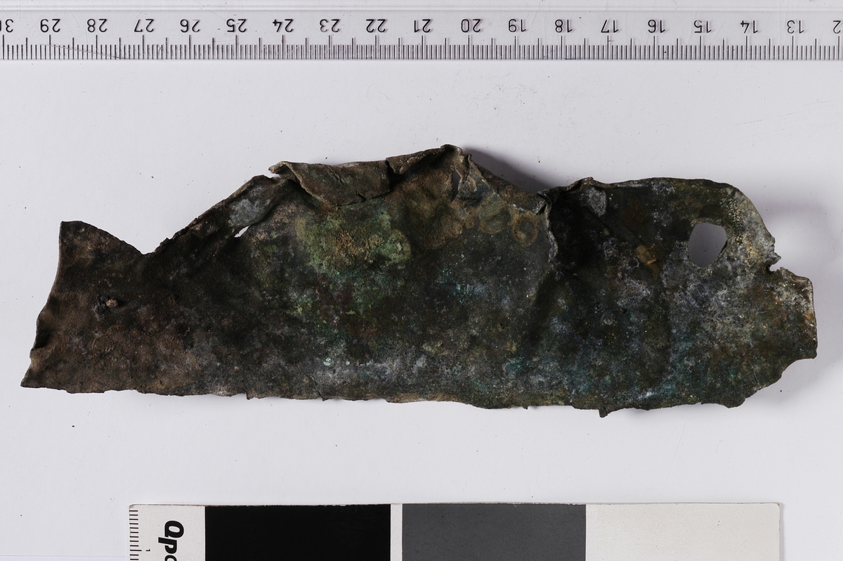 Fragment