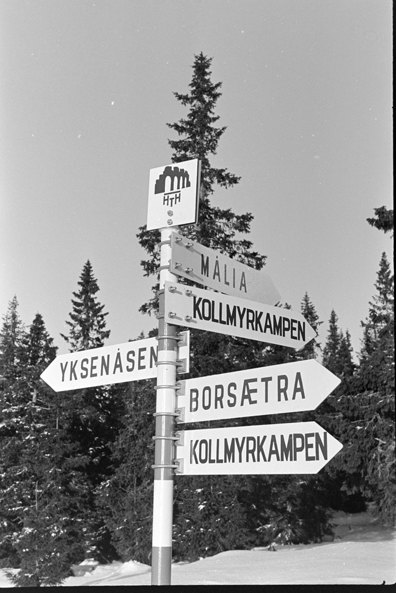 Skilt, stier og skiløyper i Vangsåsen, Hamar og Hedmarken Turistforening.