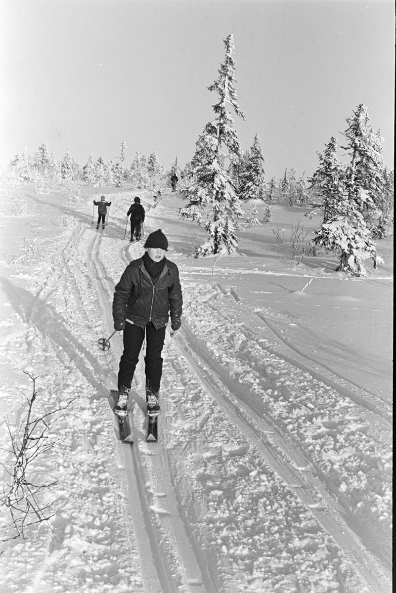Skitur i Vangsåsen, skiløper, vinter.