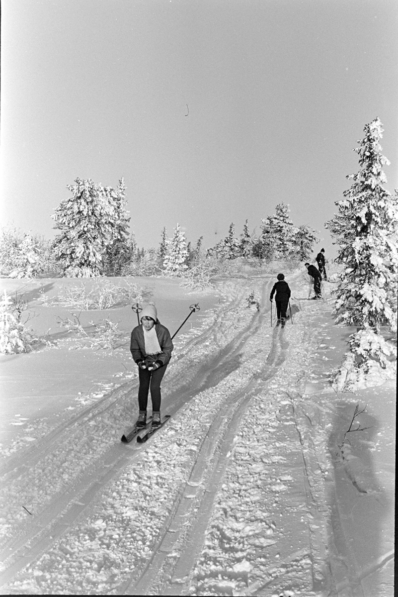Skitur i Vangsåsen, skiløper, vinter.