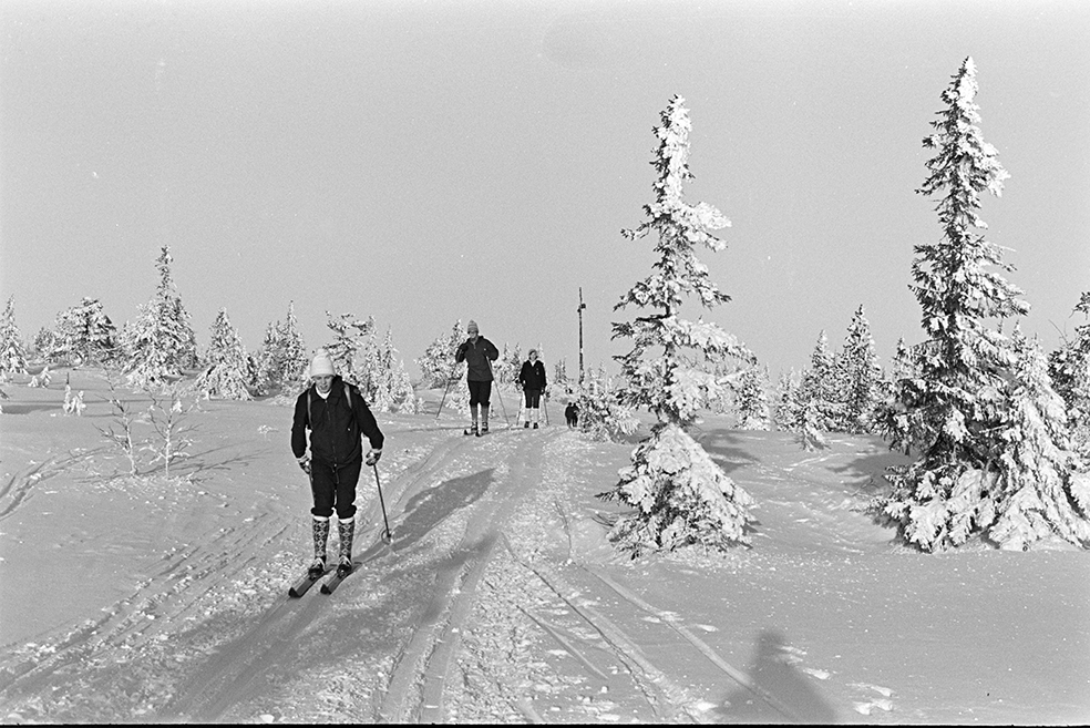 Skitur i Vangsåsen, skiløper, vinter.