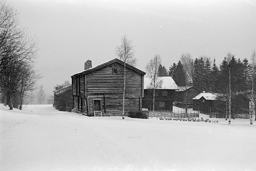 Skøienbygningen, Hedmarkstunet, Hedmarksmuseet, Domkirkeodden, vinter.