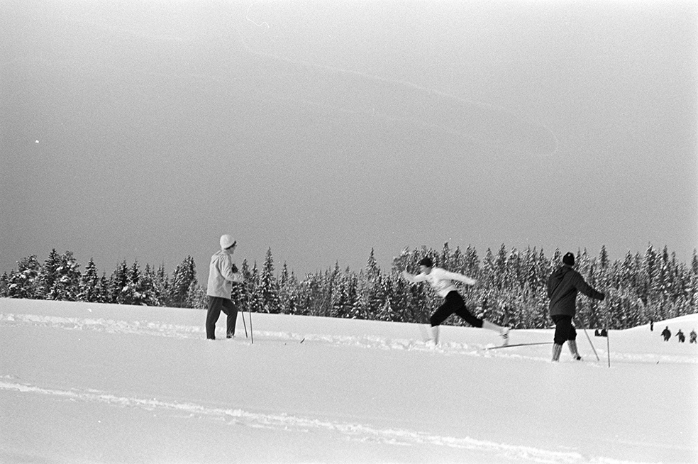 Alujordet, Hamar/Furnes. Hedmarkstoppen, vinter, skiløpere, langrenn.
