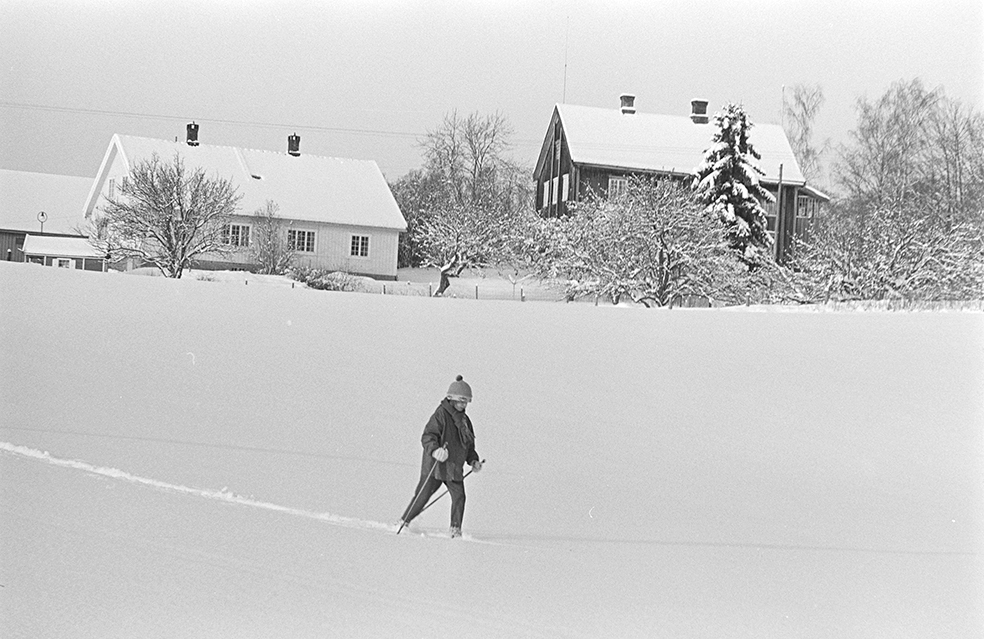 Alujordet, Hamar/Furnes, Hedmarkstoppen, vinter, skiløper,