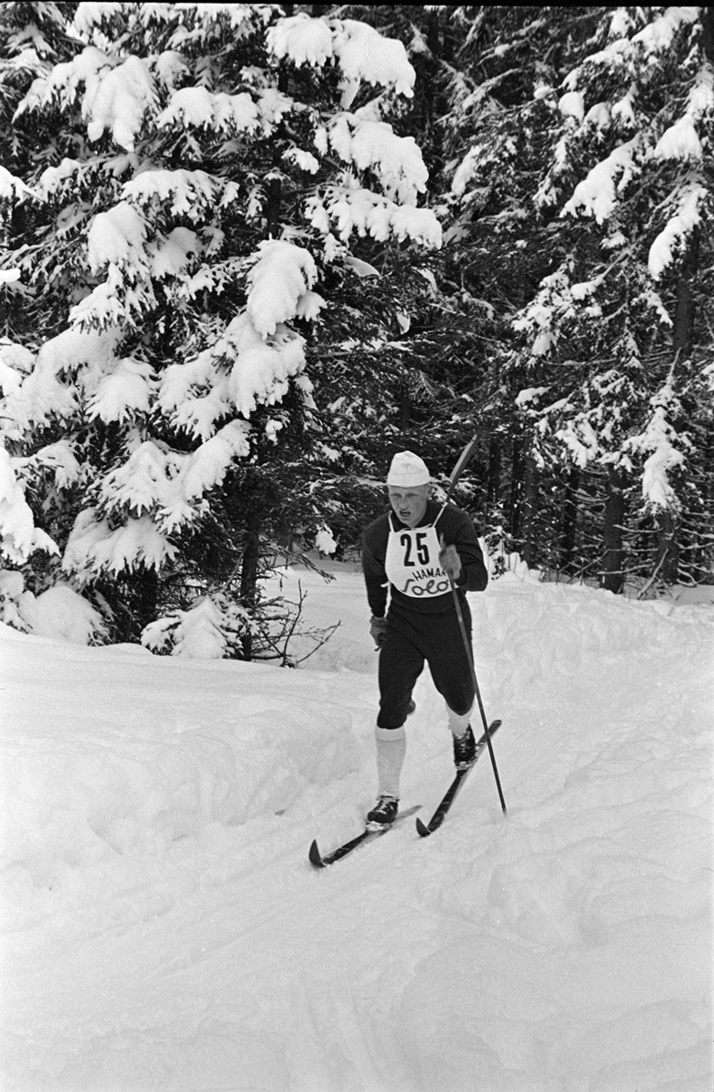 Alujordet, Hamar/Furnes. Hedmarkstoppen, vinter, skiløper, langrennsløper,