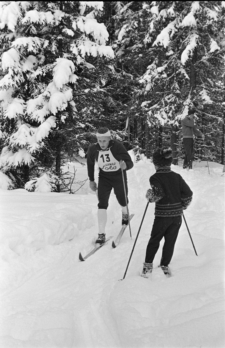 Alujordet, Hamar/Furnes. Hedmarkstoppen, vinter, skiløper, langrennsløper,