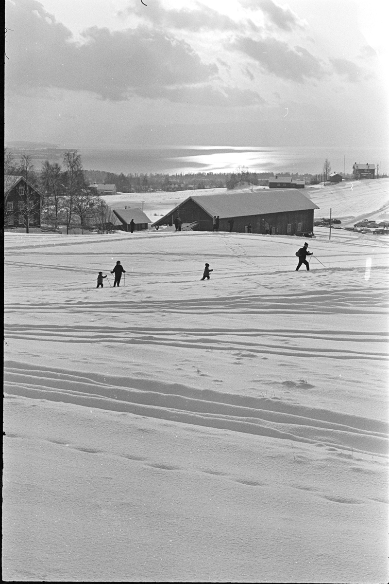 Alu, Alhaug østre, Alujordet, skiløpere, vinterlandskap,