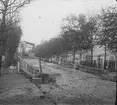 Bygget av tunnelbanan i Paris 1899-1911. 