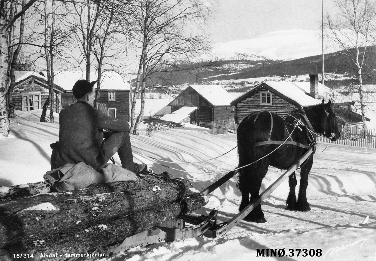 Fotoatelier Torggata 13, Hamar (1935-1983)