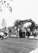 Midsommar 1976
Bäckebro koloniområde.