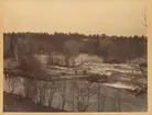 Vy från Gavleåns södra sida mot Stadsträdgården och lasarettet.