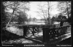 Photographicum. Stadsträdgården. Carl Larsson, Gefle.