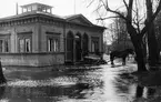 Gävle stad  Väster, Gamla Badhuset i Stadsträdgården.
Översvämning, 1930-talet.