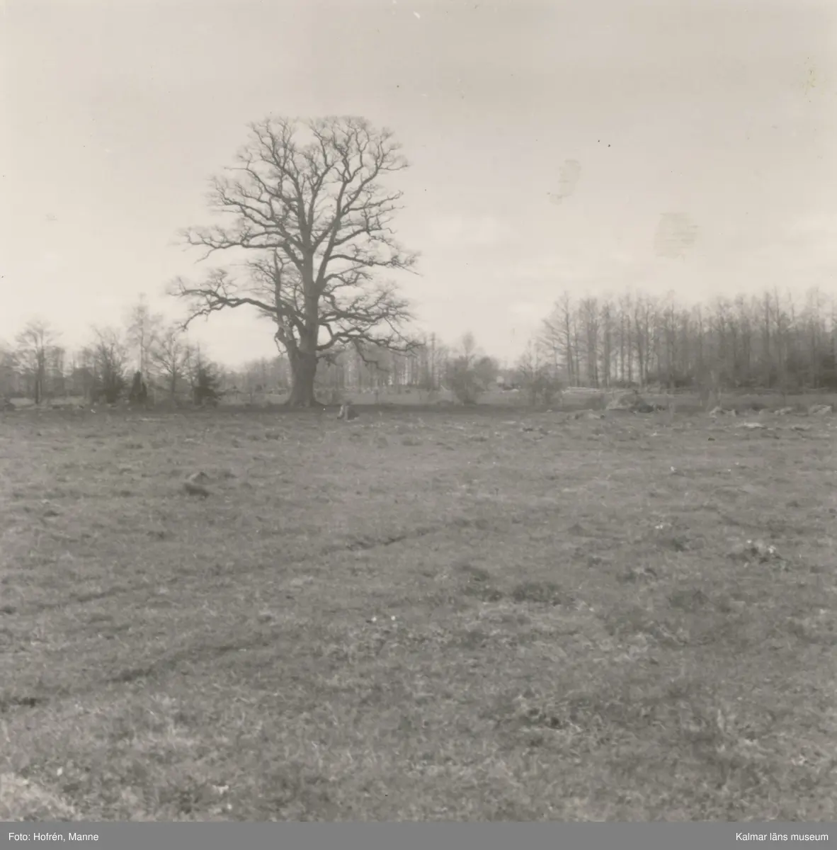 Från ängen längs ån i Christinelund.