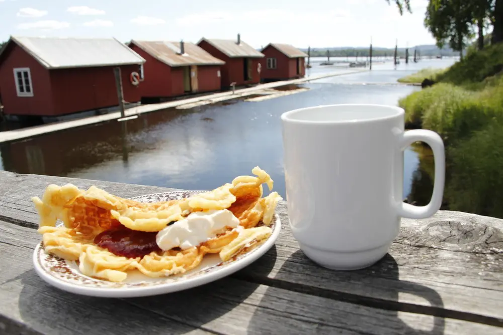 Nærbilde av vaffel med syltetøy og rømme. Kaffekopp. Hvilebrakkene i bakgrunn