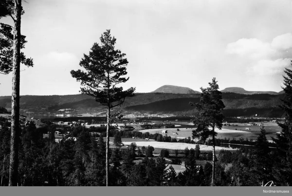 "48, g/5  Norge. Parti fra Surnadal." Fotograf er Aune. Eier av originalmaterialet er Sunndal museumslag. Fra Nordmøre museums fotosamlinger.