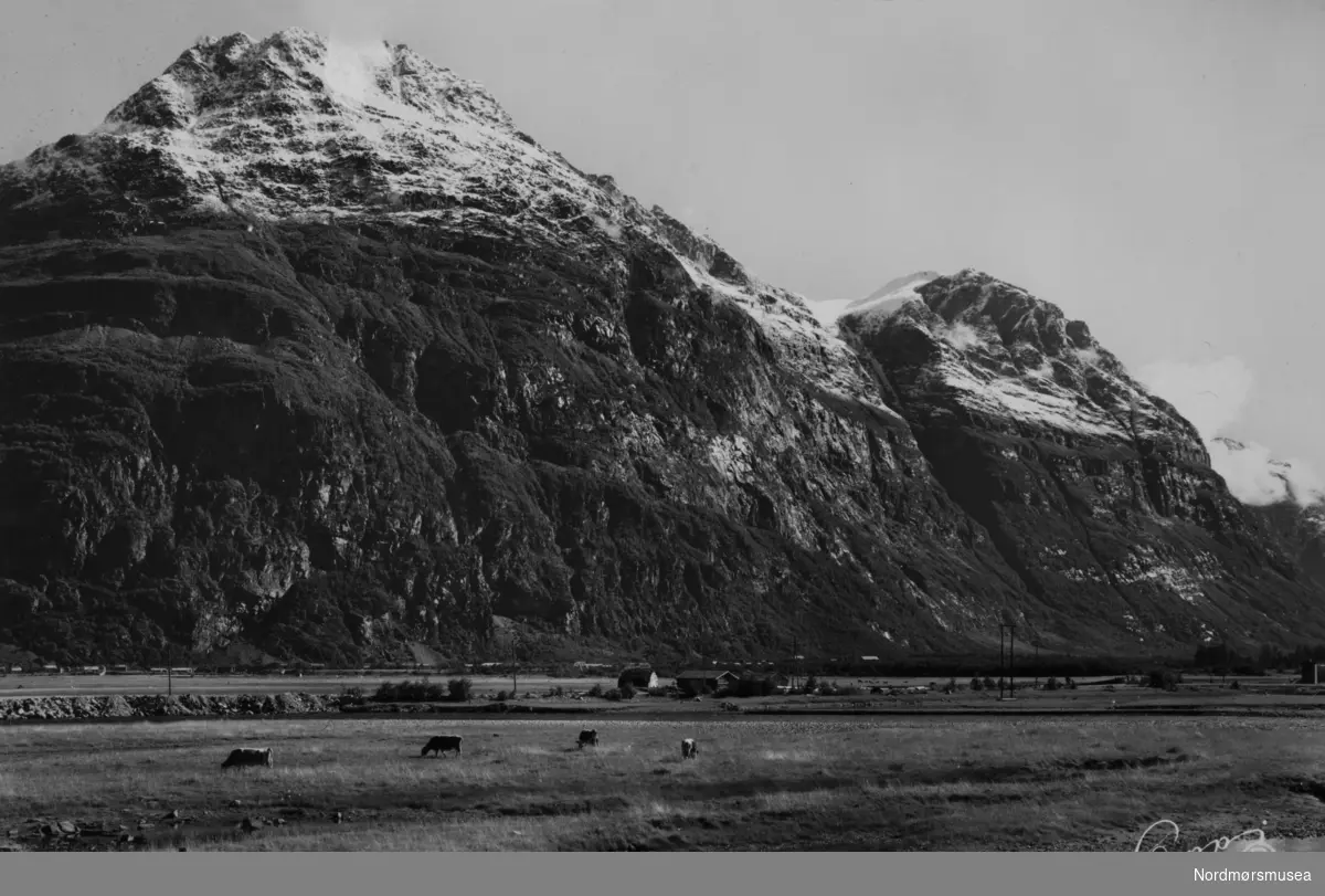 "10/96 Norge. Sunndalsøra med Hovsnebba" Eier av postkortet er Sunndal museumslag. Fra Nordmøre museums fotosamlinger.