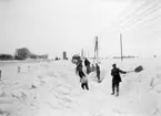 Gatubilder. Snövintern 1929. En mängd karlar skottar snö på en väg.