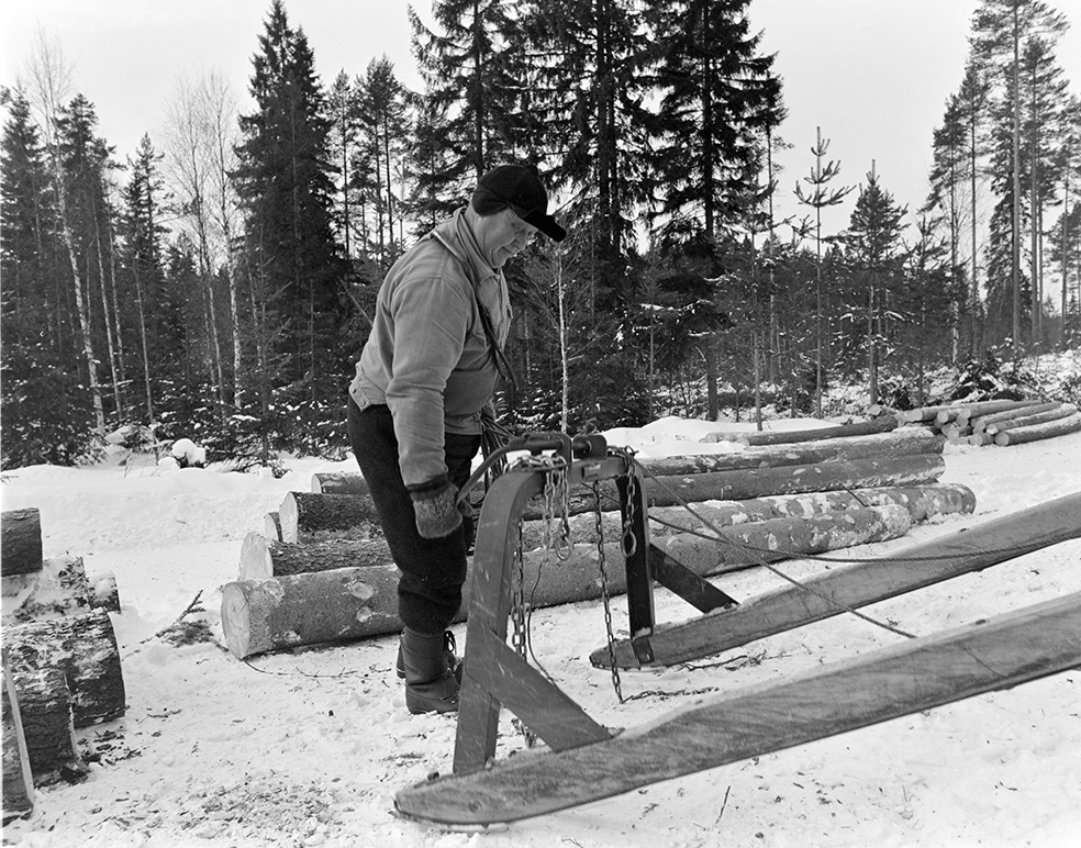 Tømmerkjøring, med hest, "Trollheimen" i Løten Almenning, hestekar Paul Nordvold. Skogsarbeid, tømmerhogst, hesteredskap, bukk og geit.