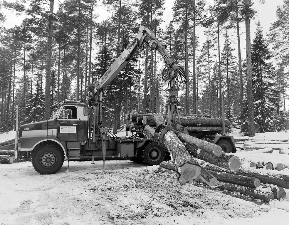 Tømmerkjøring, med hest, "Trollheimen" i Løten Almenning, hestekar Paul Nordvold. Skogsarbeid, tømmerhogst, hesteredskap, bukk og geit.