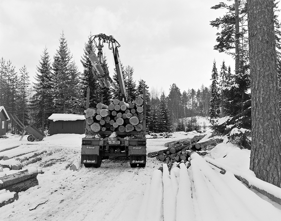 Tømmerkjøring, med hest, "Trollheimen" i Løten Almenning, hestekar Paul Nordvold. Skogsarbeid, tømmerhogst, hesteredskap, bukk og geit.
