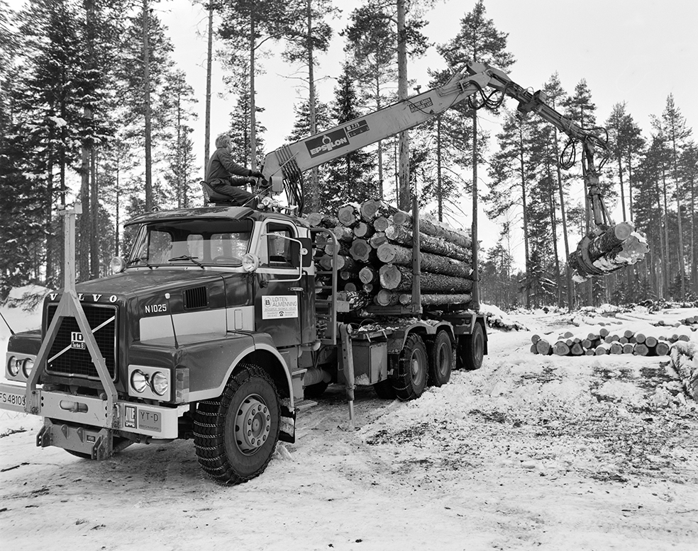 Tømmerkjøring, med hest, "Trollheimen" i Løten Almenning, hestekar Paul Nordvold. Skogsarbeid, tømmerhogst, hesteredskap, bukk og geit.