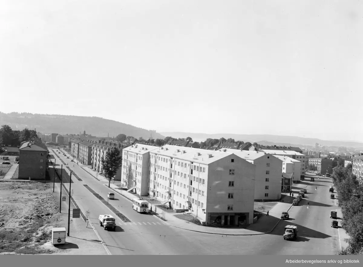 Finnmarksgata. September 1955