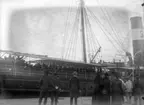 Krigsfångeutväxling i Trelleborg under första världskriget. Fartyg med män i uniform.